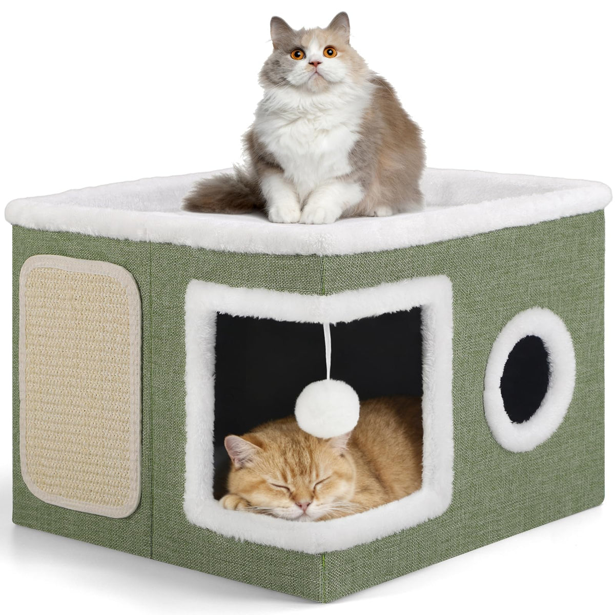 Shikha Animal Shelter in Large, Green