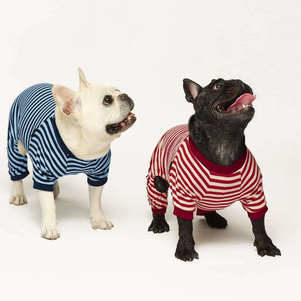 Fitwarm Pet Apparel in X-Small, Red