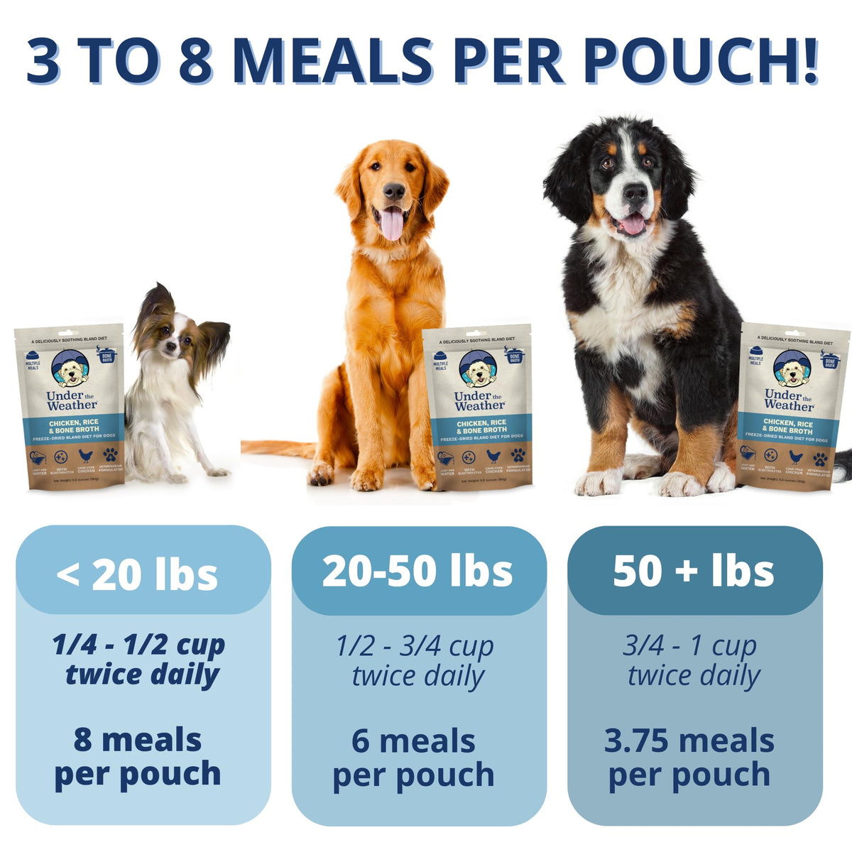 Under the Weather Pet Food in 6 Ounce (Pack of 1)