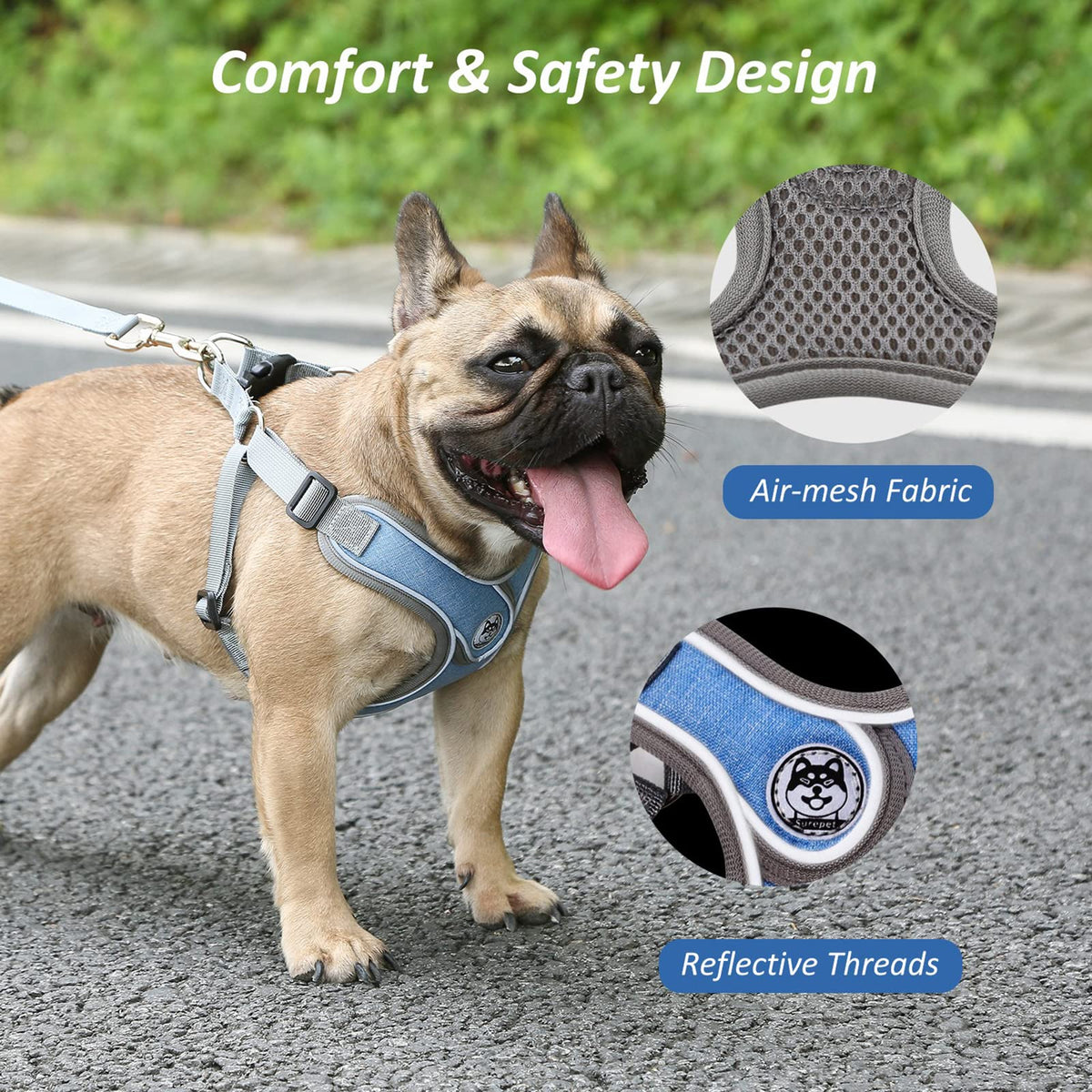 SAEGYPET Animal Harness in Medium, Blue