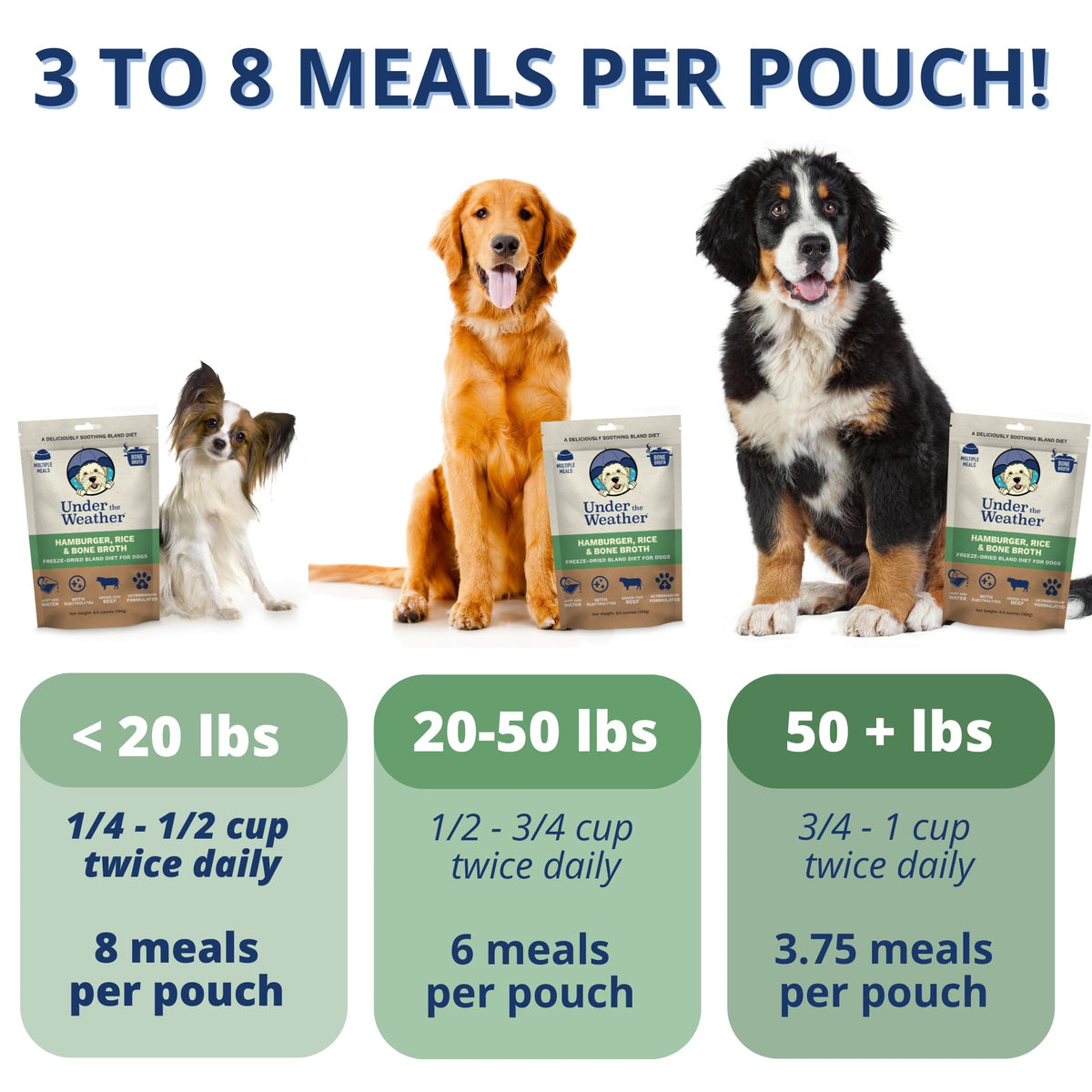 Under the Weather Pet Food in 6 Ounce (Pack of 1)