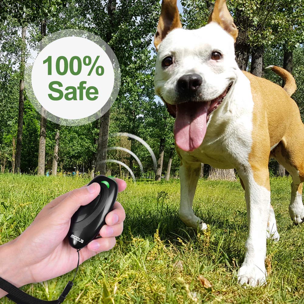 MODUS Pet Supplies in Anti-Barking Device, Black
