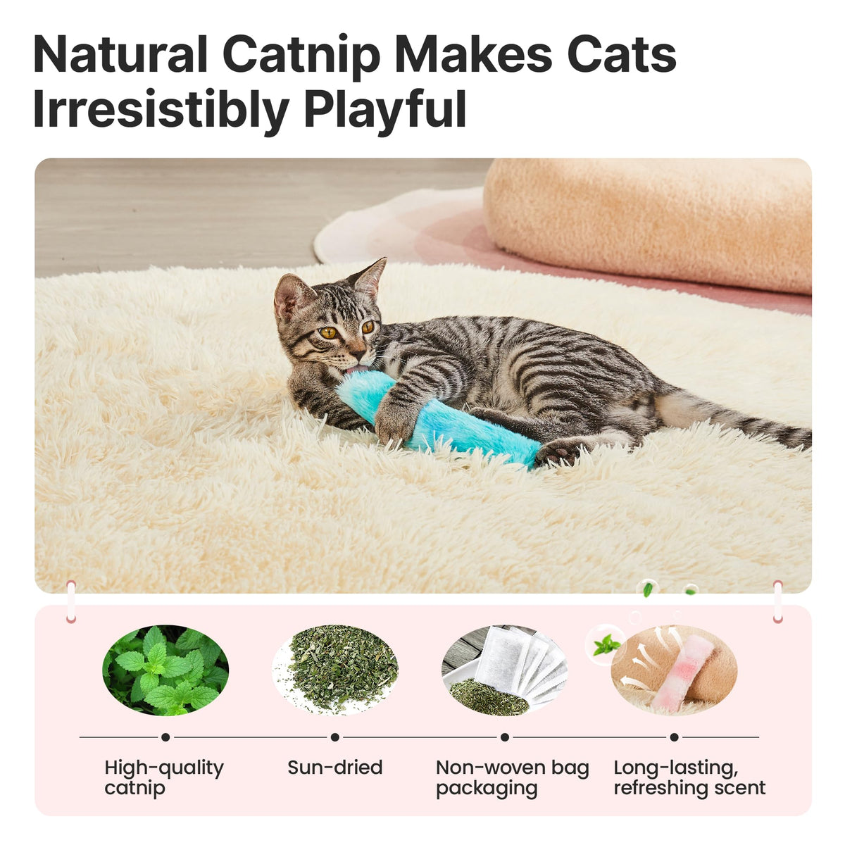 Potaroma Pet Toy in Pastel Colors