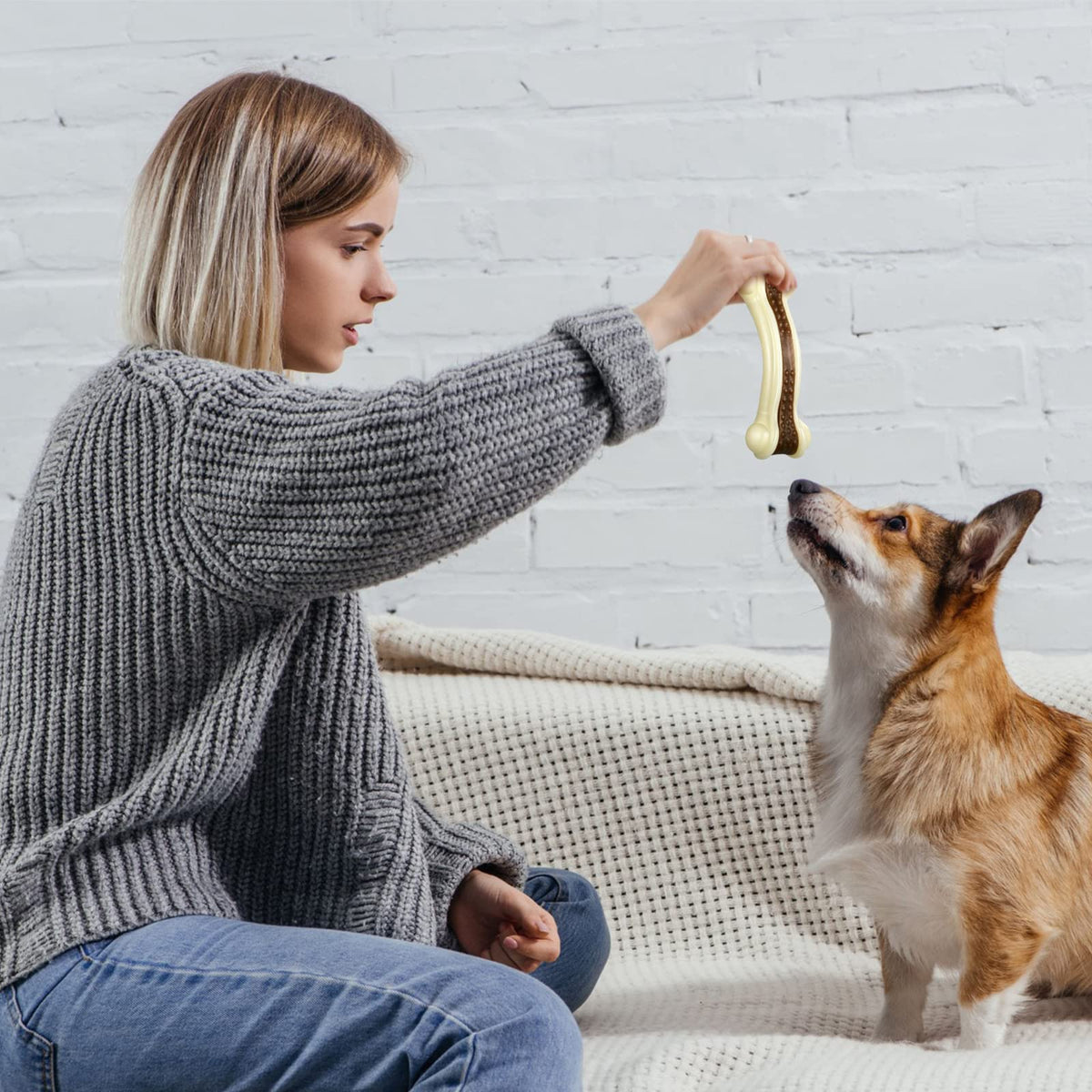Sosation Pet Toy in Medium, as shown