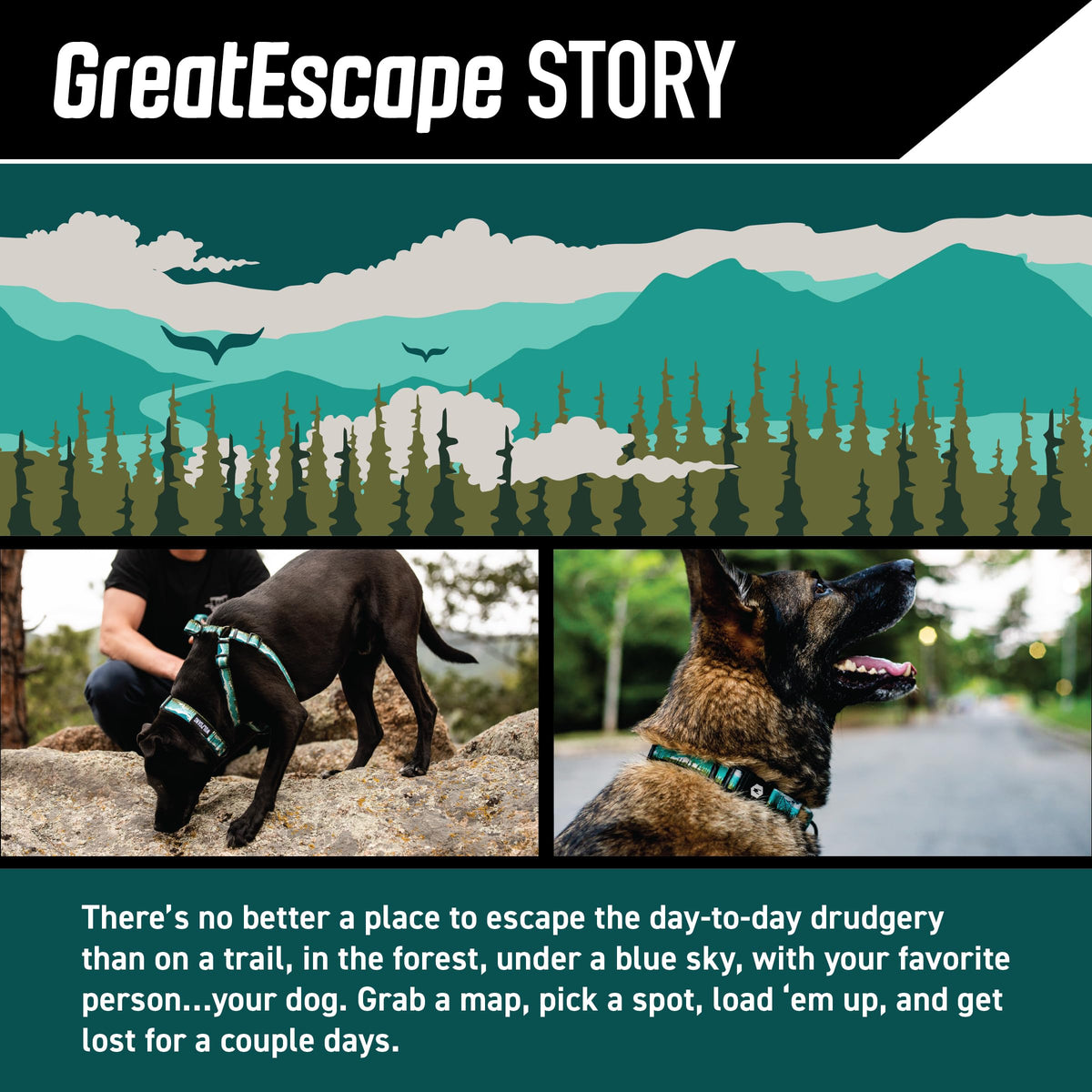 Wolfgang Man & Beast Animal Harness in Small (5/8 Inch x 12-18 Inch), GreatEscape Print
