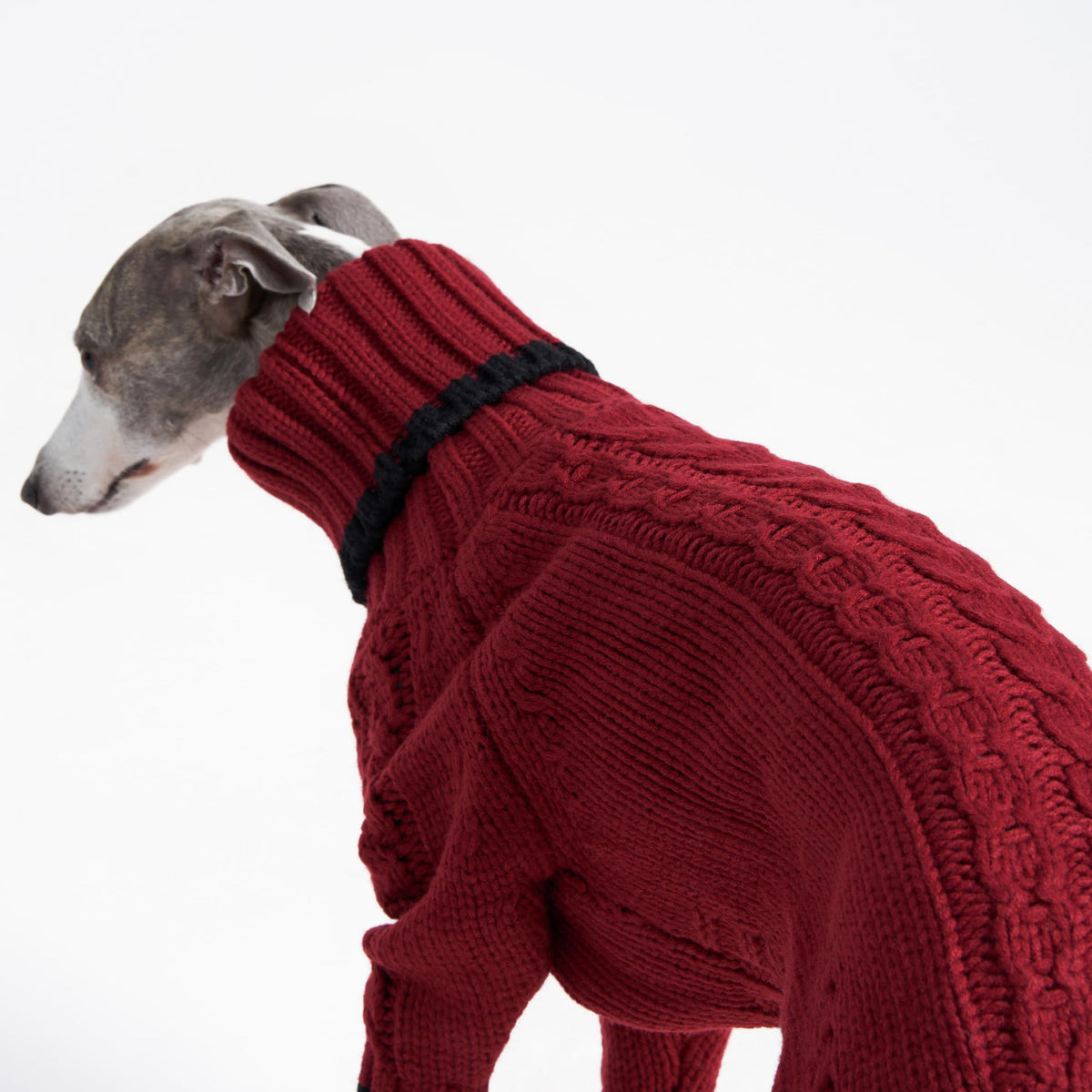 ESCCBOO Pet Apparel in Small, Red