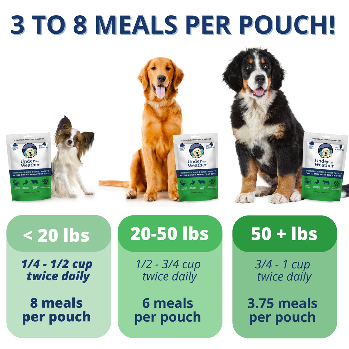 Under the Weather Pet Food in 6 Ounce (Pack of 1)