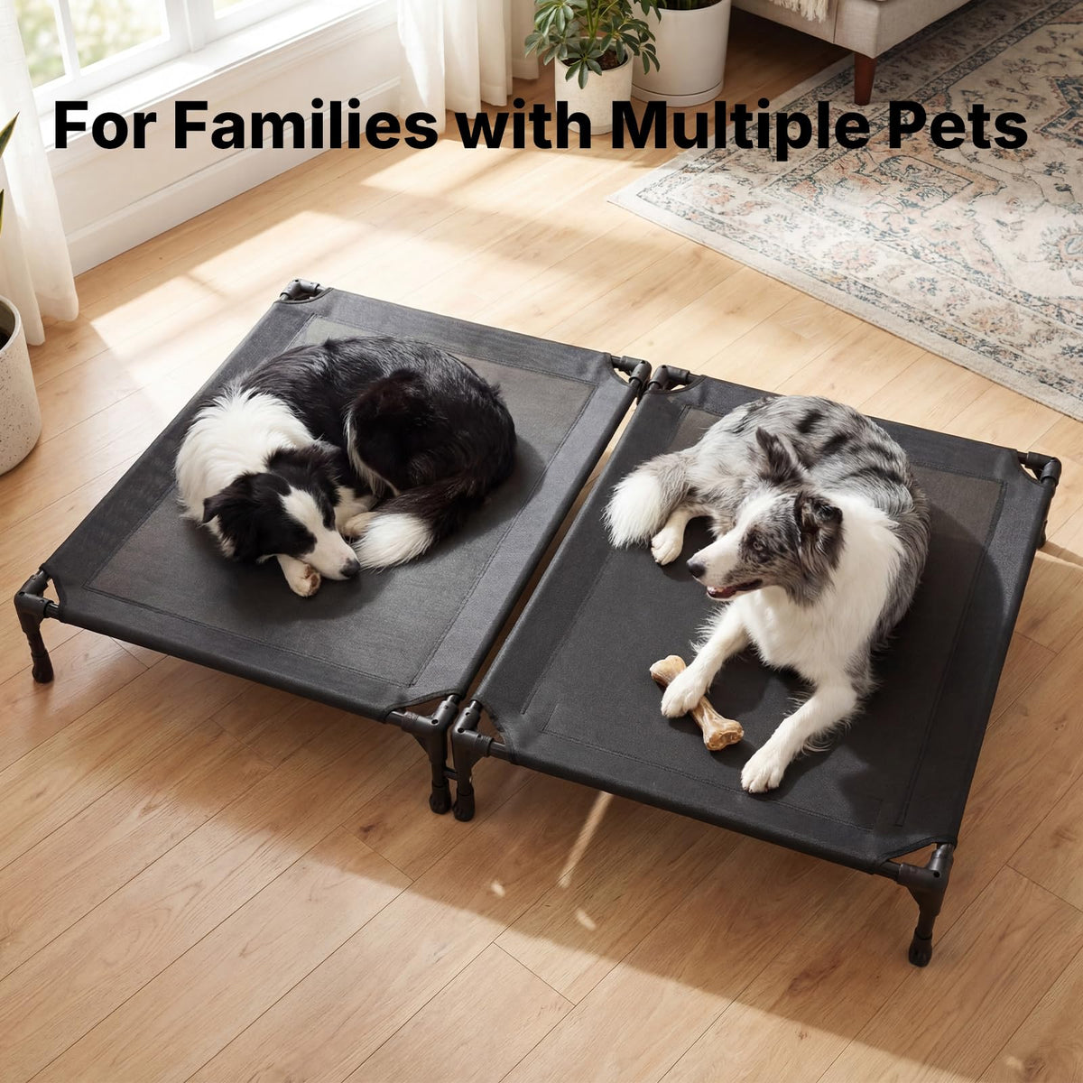Veehoo Pet Bed Mat in 35.0"L x 25.0"W x 7.0"Th, 2 Connected Beds-Black