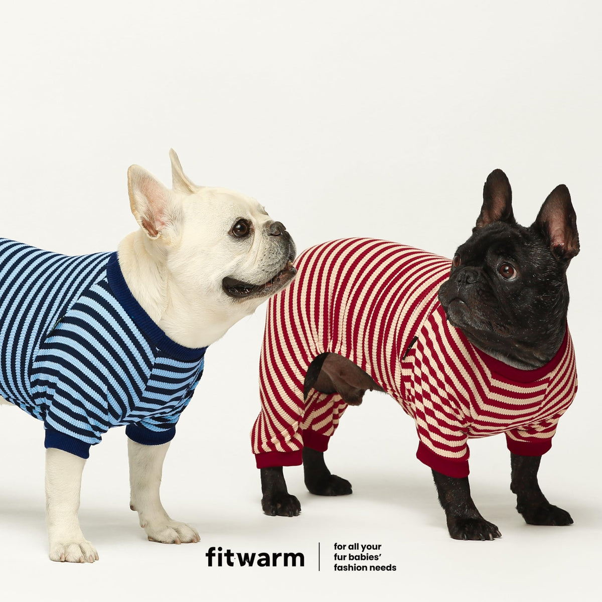 Fitwarm Pet Apparel in X-Small, Basic Blue
