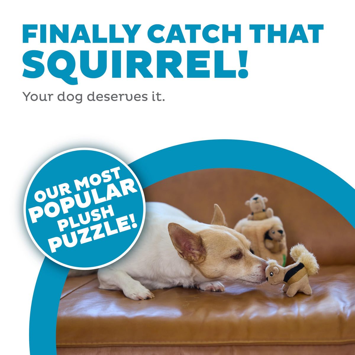 Outward Hound Pet Toy in Small (Pack of 1), Squirrel Small