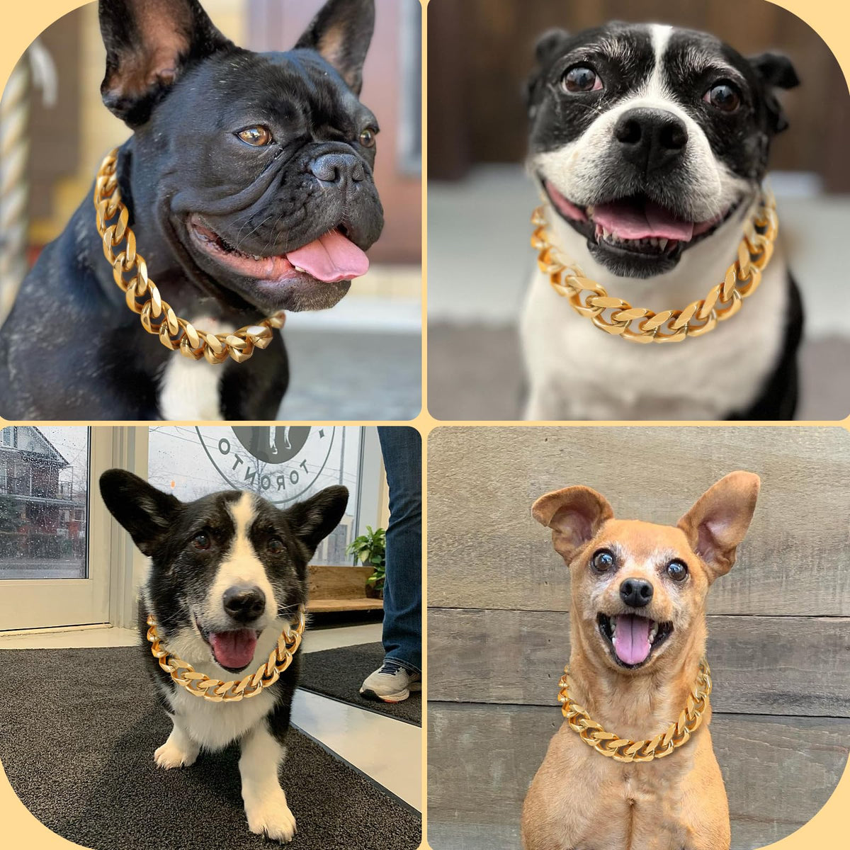 BAOBOTE Animal Collar in 12"(for 10"-11" Neck), Gold