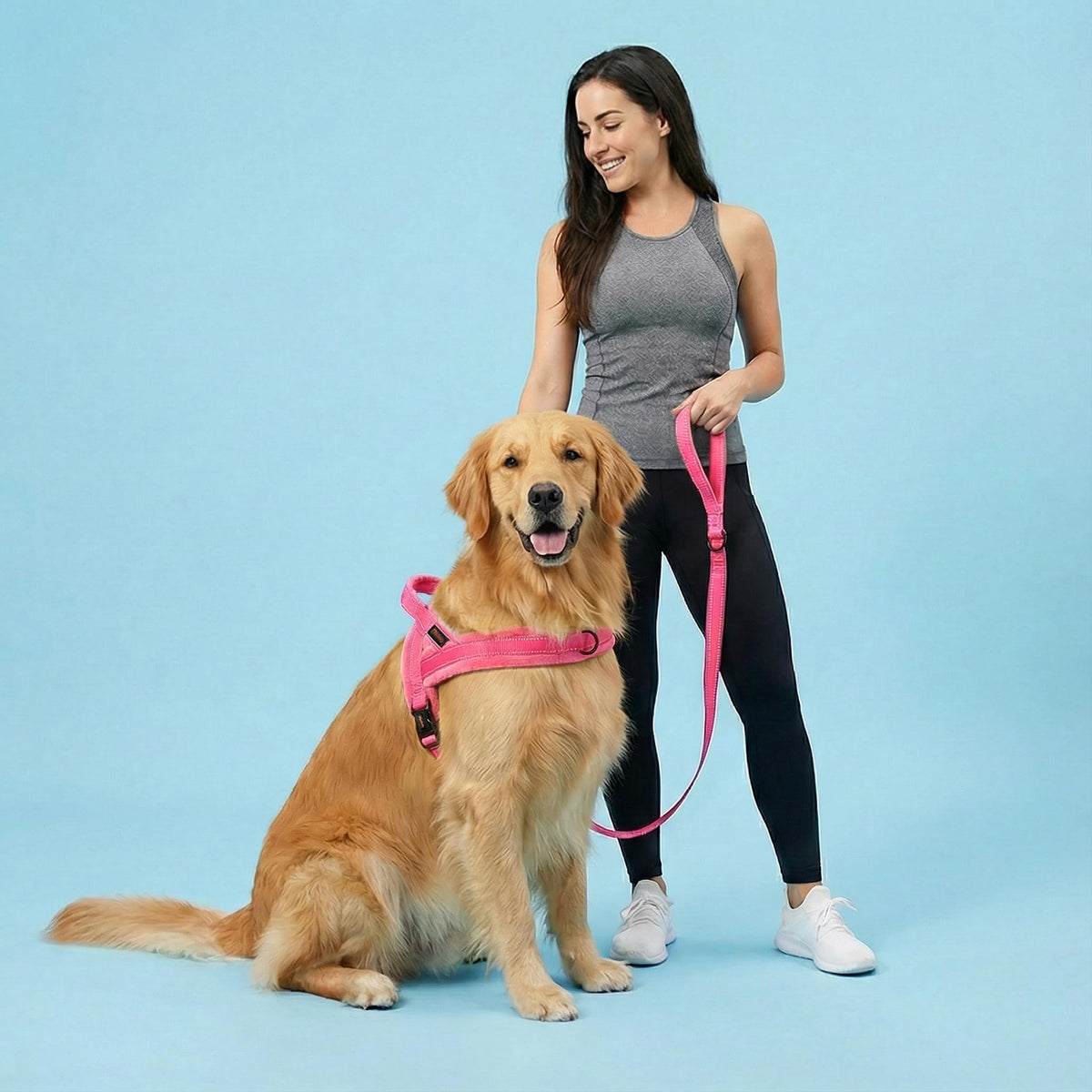 Didog Leash in 3/4''x 4 FT, Pink