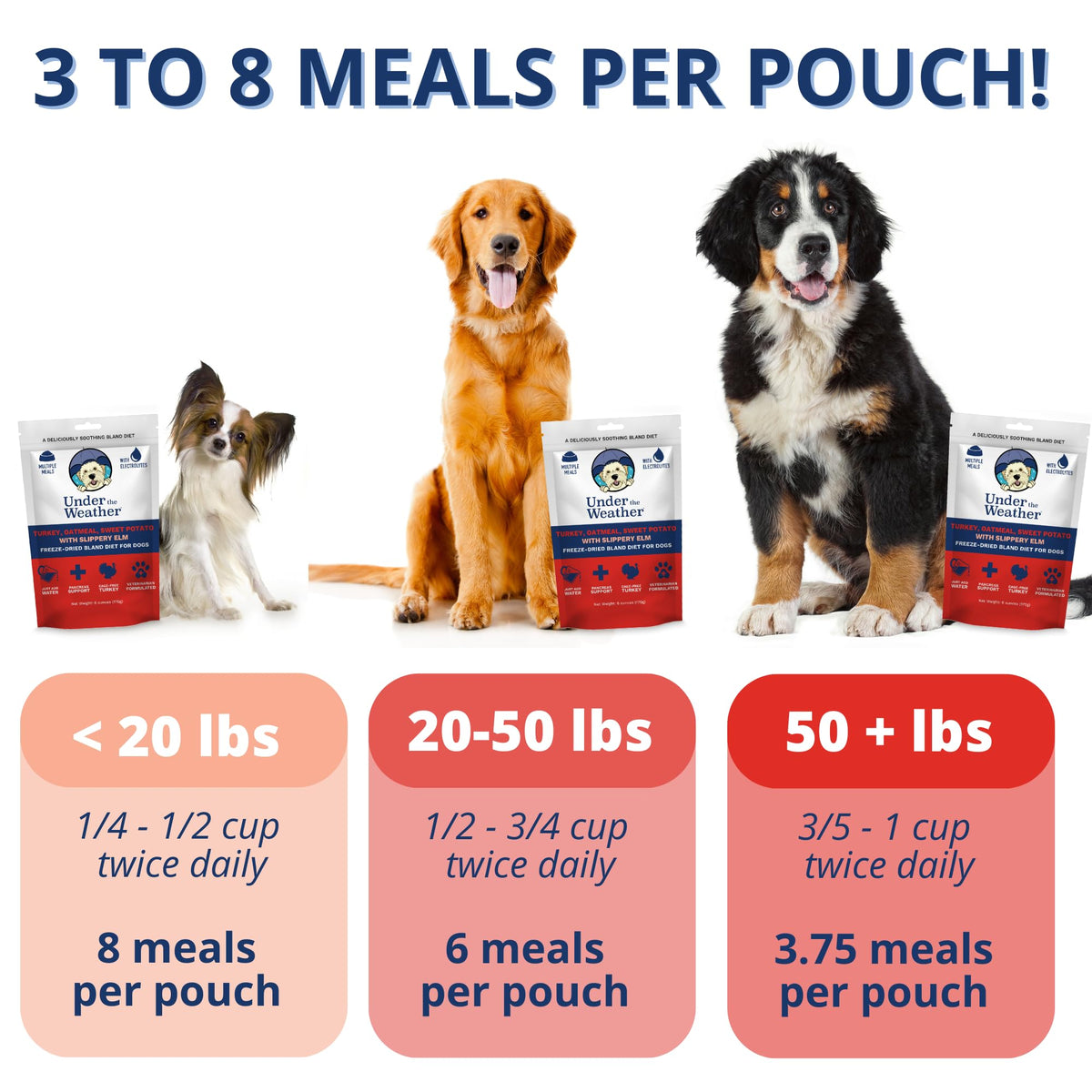 Under the Weather Pet Food in 6 Ounce (Pack of 1)