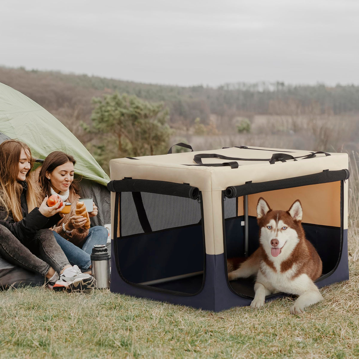 A 4 Pet Animal Cage in 30.0"L x 20.0"W x 19.0"H, Blue+Beige