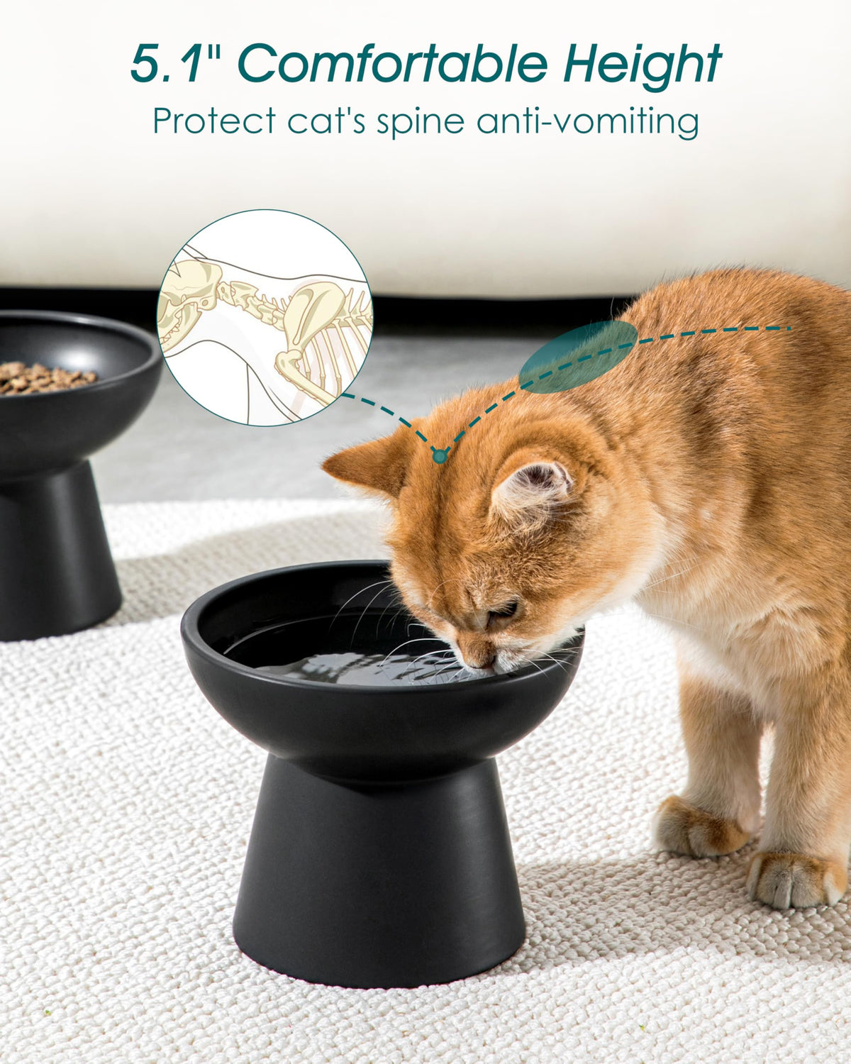 vancasso Pet Feeder in 2 Pack-Food & Water Bowls, Black