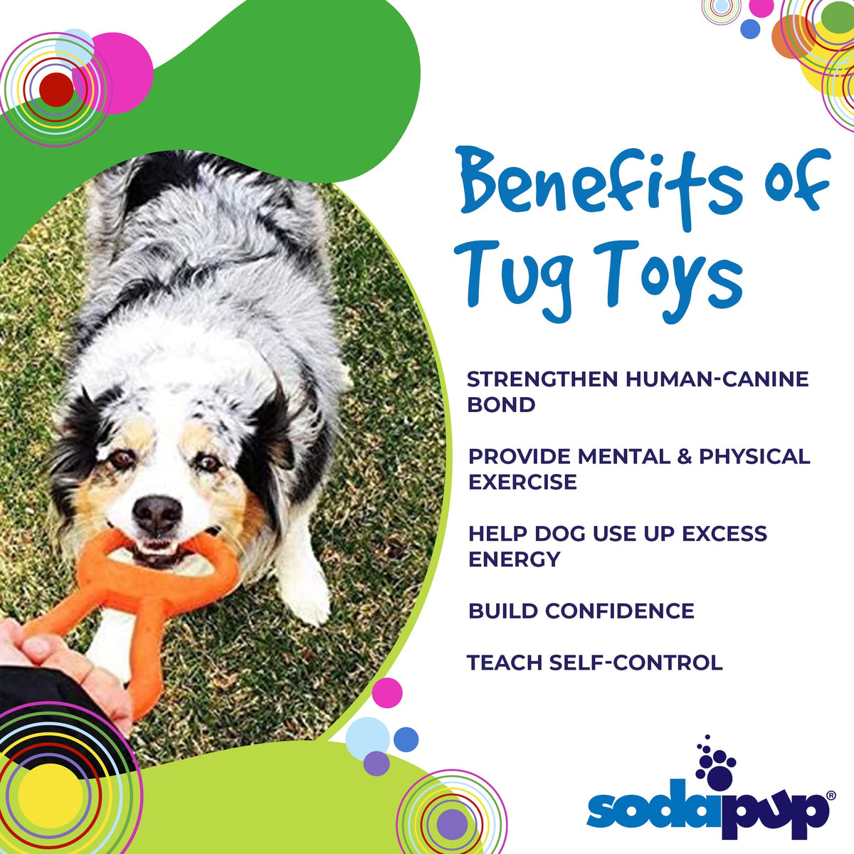 SodaPup Pet Toy in Medium, Pop Top Orange