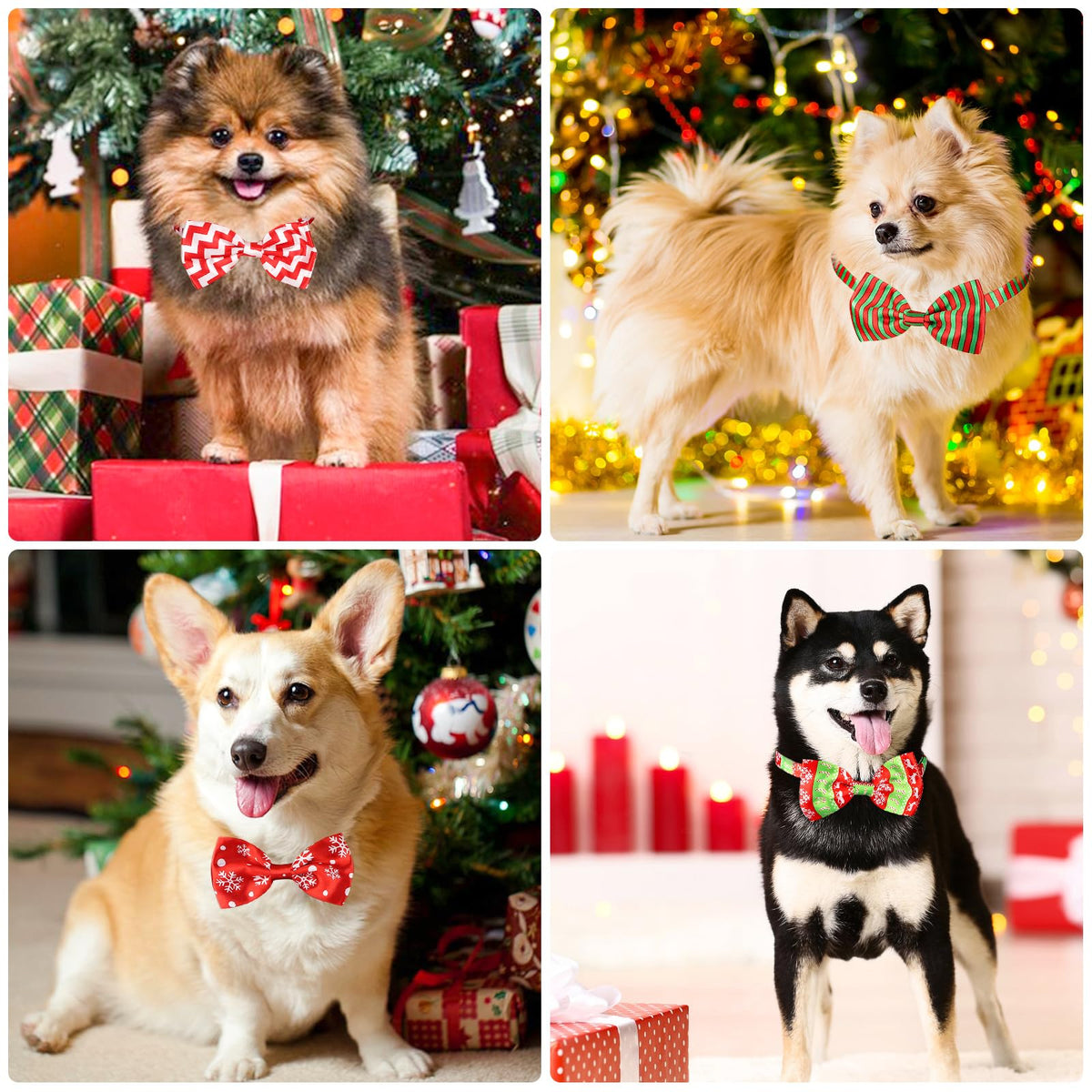 Segarty Pet Apparel in Adjustable, fits neck sizes 7.9''-17.9'', 30pcs-Happy Time