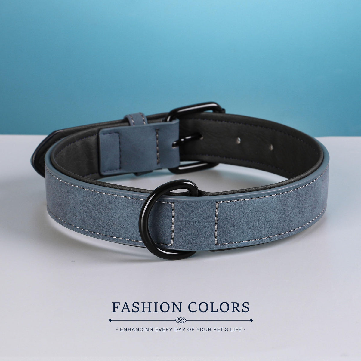 Didog Animal Collar in M: Fit Neck 11-14"(10-20 lbs), Blue