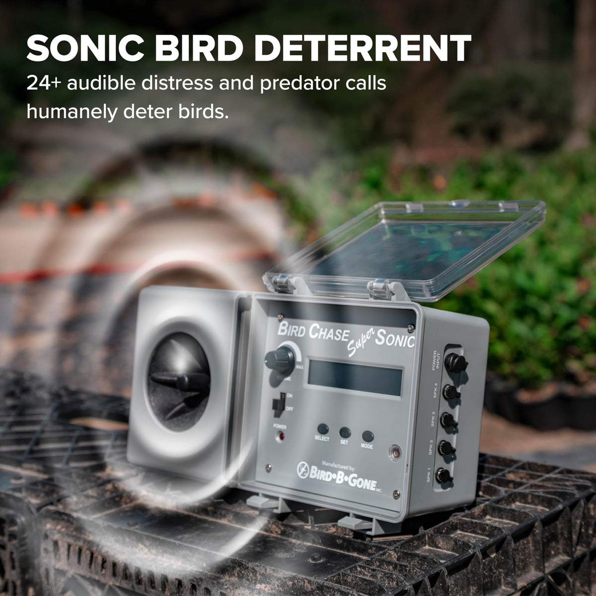 Bird B Gone Outdoor Living in 6 lb., Premium