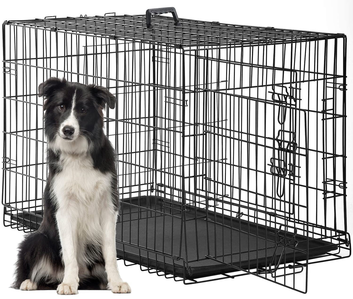 FDW Animal Cage in 48 Inch, Black