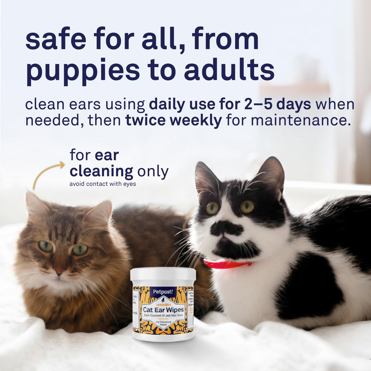 Petpost Pet Supplies in Pack of 1, Cat Ear Wipes