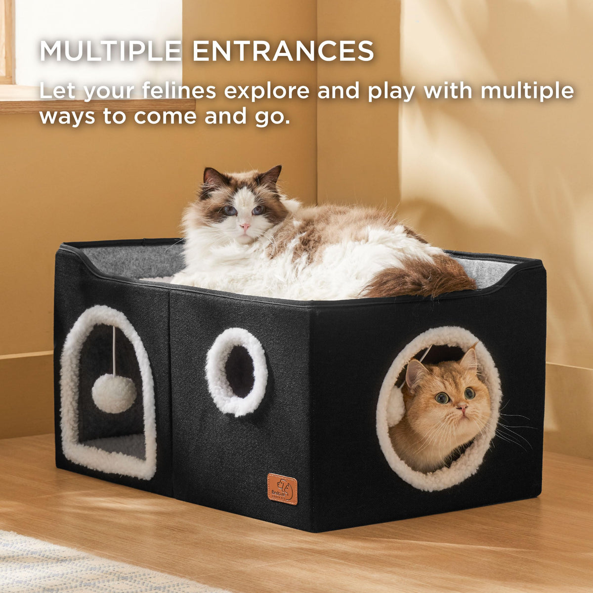 Bedsure Pet Activity Structure in Widen, Black