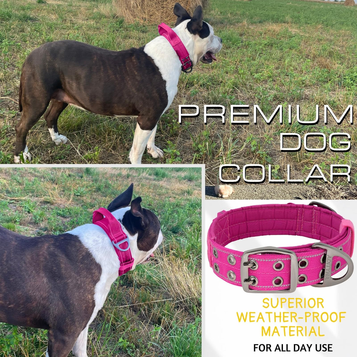 ADITYNA Animal Collar in Extra-Large: Fit 24-30" Neck, Magenta