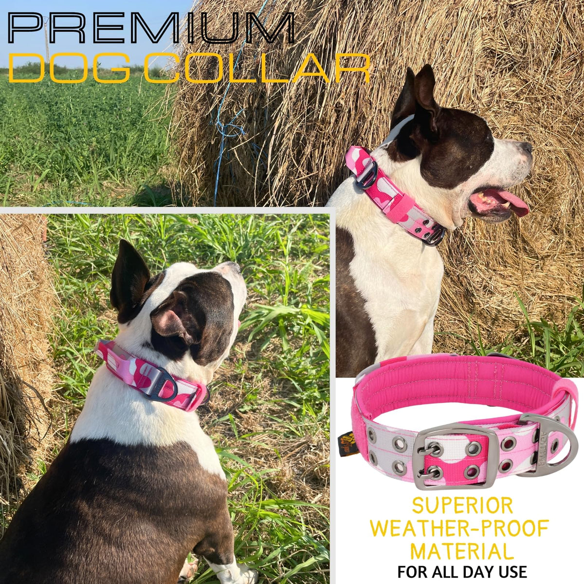 ADITYNA Animal Collar in Extra-Large: Fit 24-30" Neck, Camo Pink