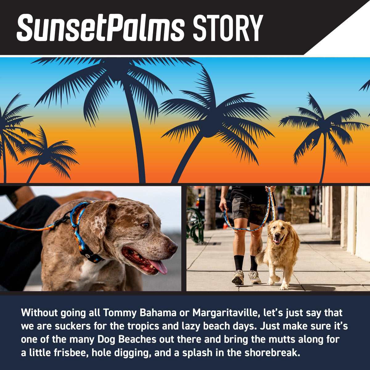 Wolfgang Man & Beast Animal Collar in Small (5/8 Inch x 8-12 Inch), SunsetPalms Print