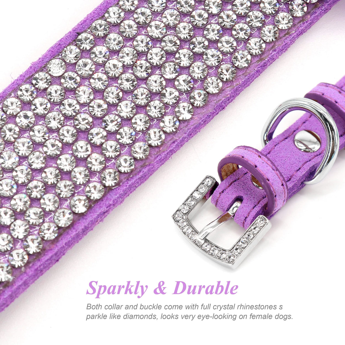 PET ARTIST Animal Collar in XS:Neck 7.5-10"(3-7 lbs), Purple
