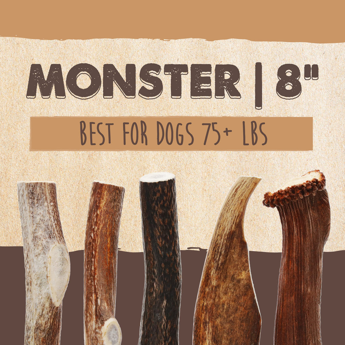 Mighty Paw Pet Toy in 2 Whole Monster, White