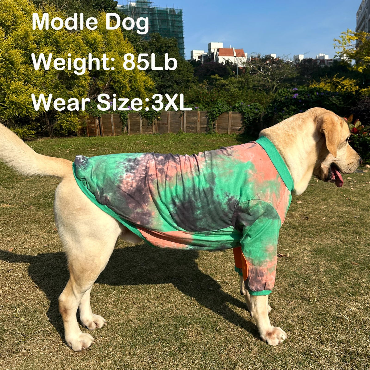 PriPre Pet Apparel in Large, Green Orange