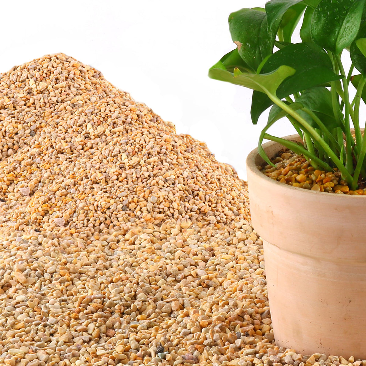 Mulctun Raw Materials in 5 lbs, Yellow