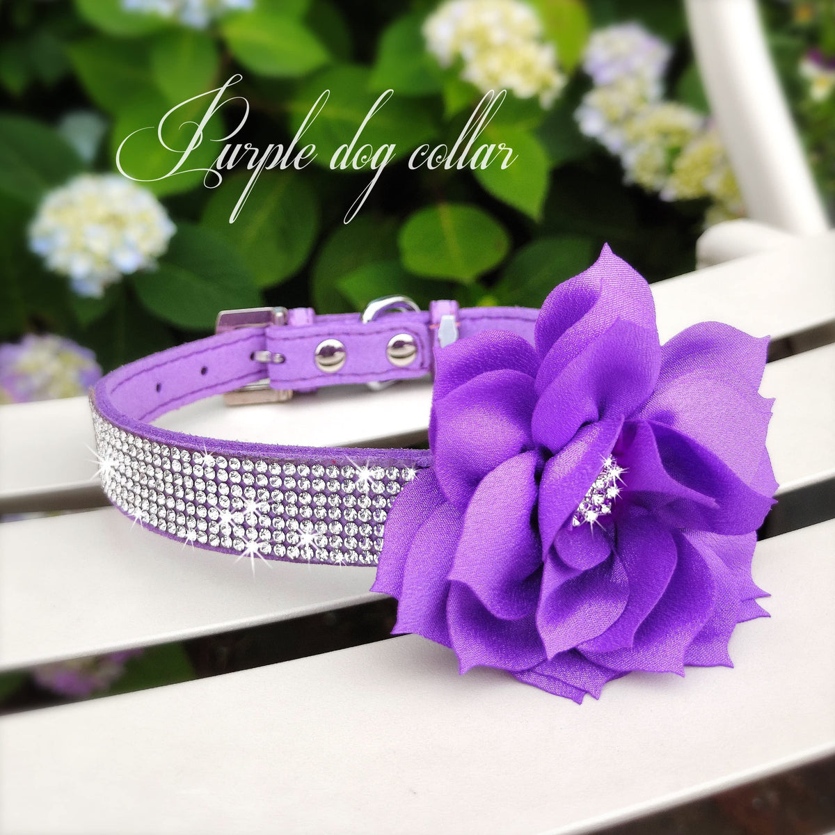 PET ARTIST Animal Collar in XS:Neck 7.5-10"(3-7 lbs), Purple