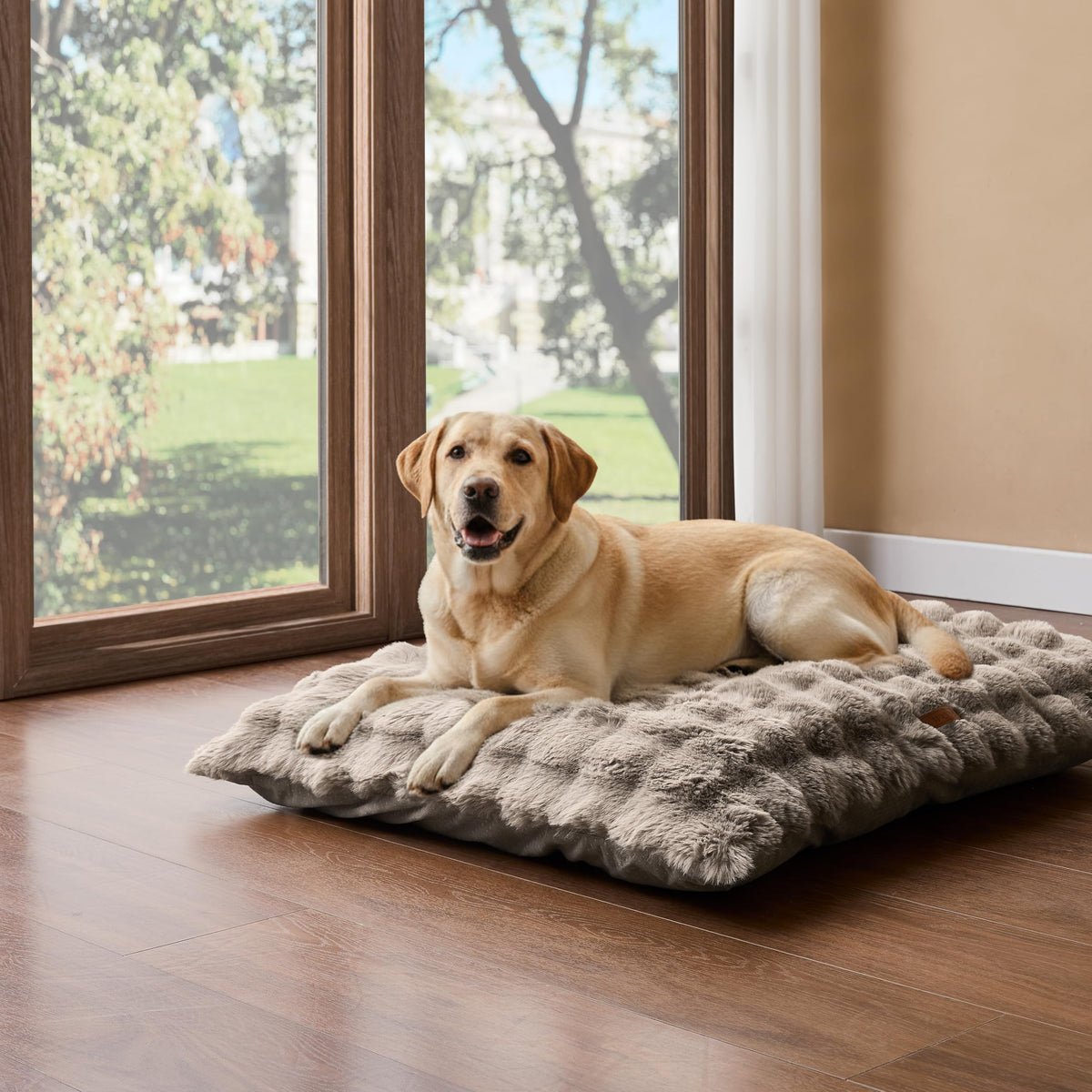 WDCOZY Pet Bed Mat in X-Large(41"x27"), Fluffy-Beige