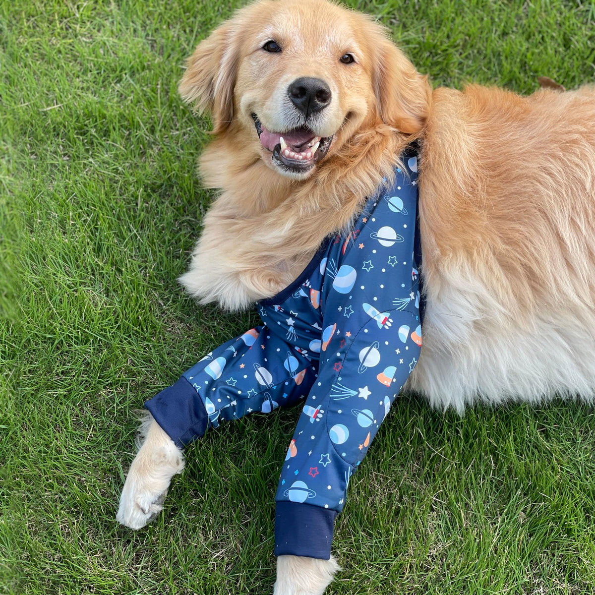 Harikaji Pet Supplies in L-Length 9'' Girth<8.2'', Navy