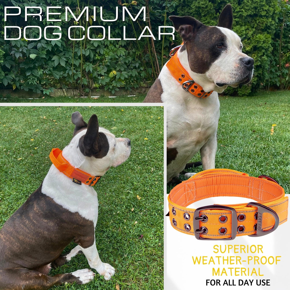 ADITYNA Animal Collar in Extra-Large: Fit 24-30" Neck, Orange