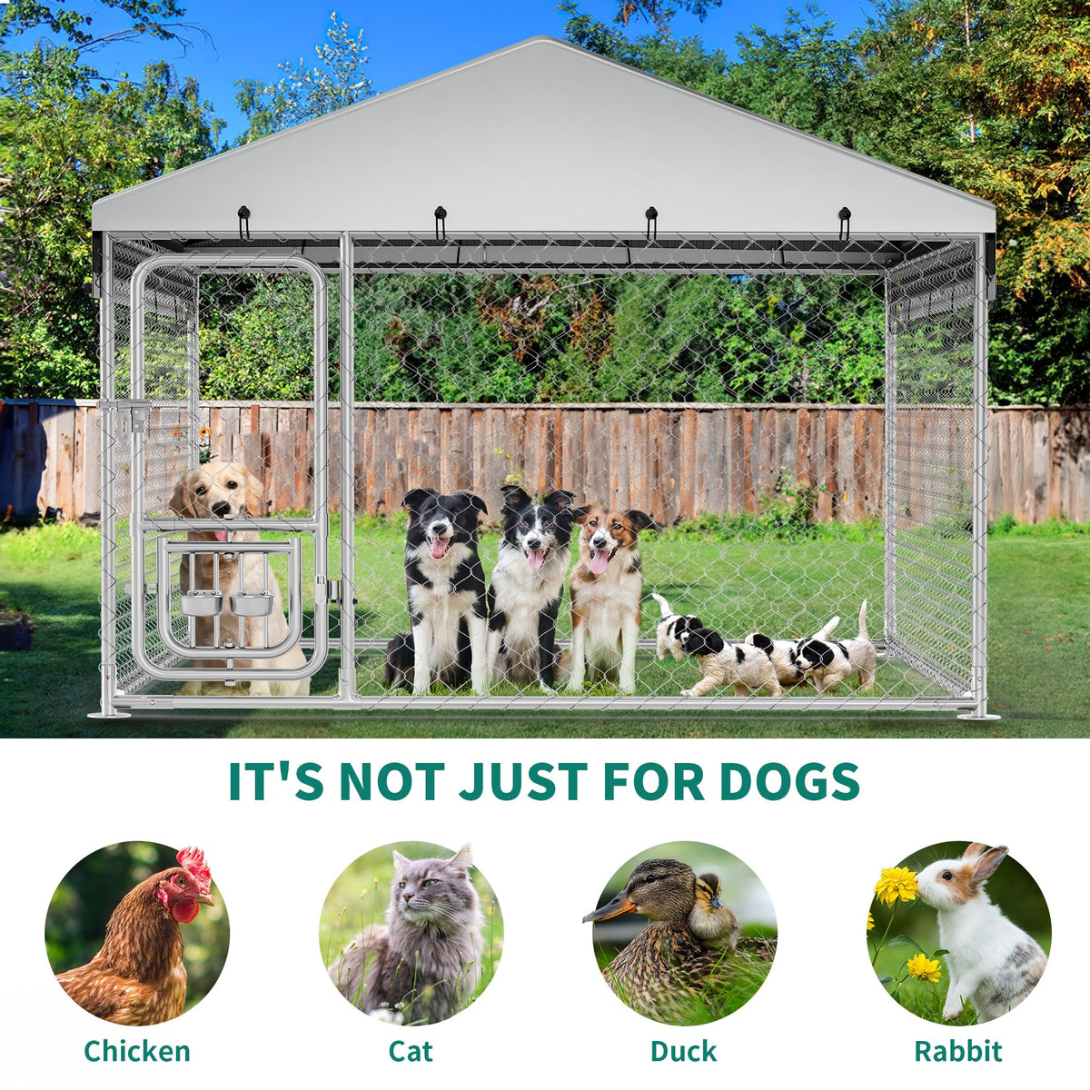 DWVO Animal Cage in 8'L x4' W x 6'H, Black