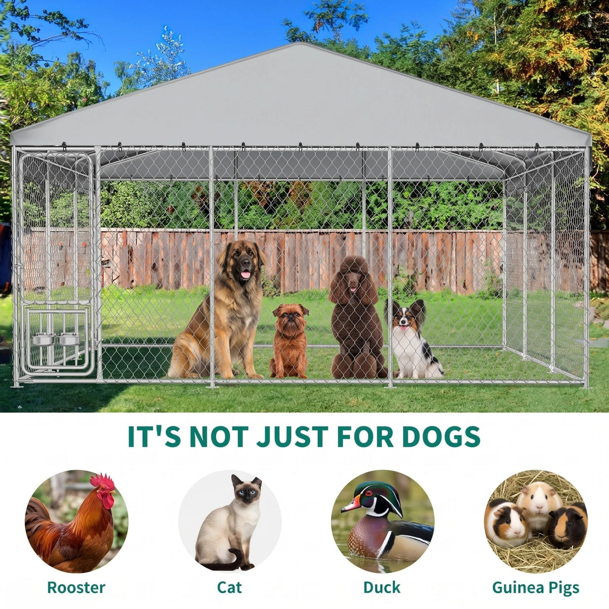 DWVO Animal Cage in 14.7 x 14.7 FT, Silver