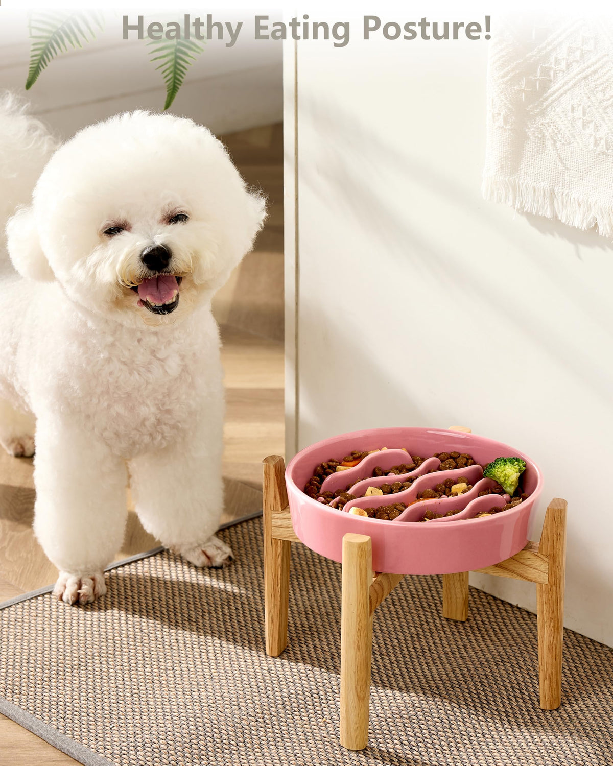 MOPANG Pet Feeder in 6 Inches, Salmon Pink + Stand