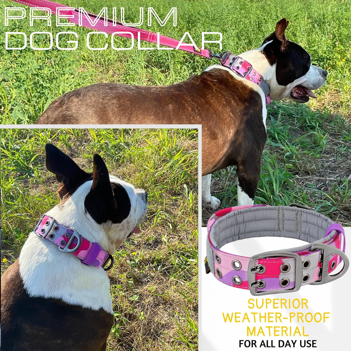 ADITYNA Animal Collar in Extra-Large: Fit 24-30" Neck, Camo Pink Purple
