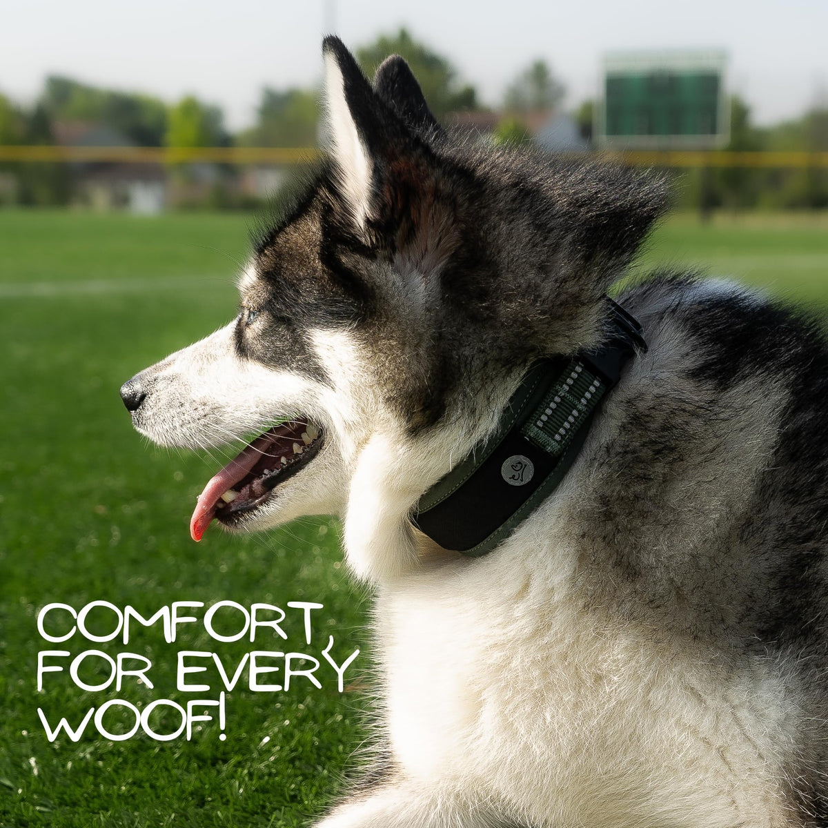 WaggyLife Animal Collar in XS (11.8"-13.8"), Green