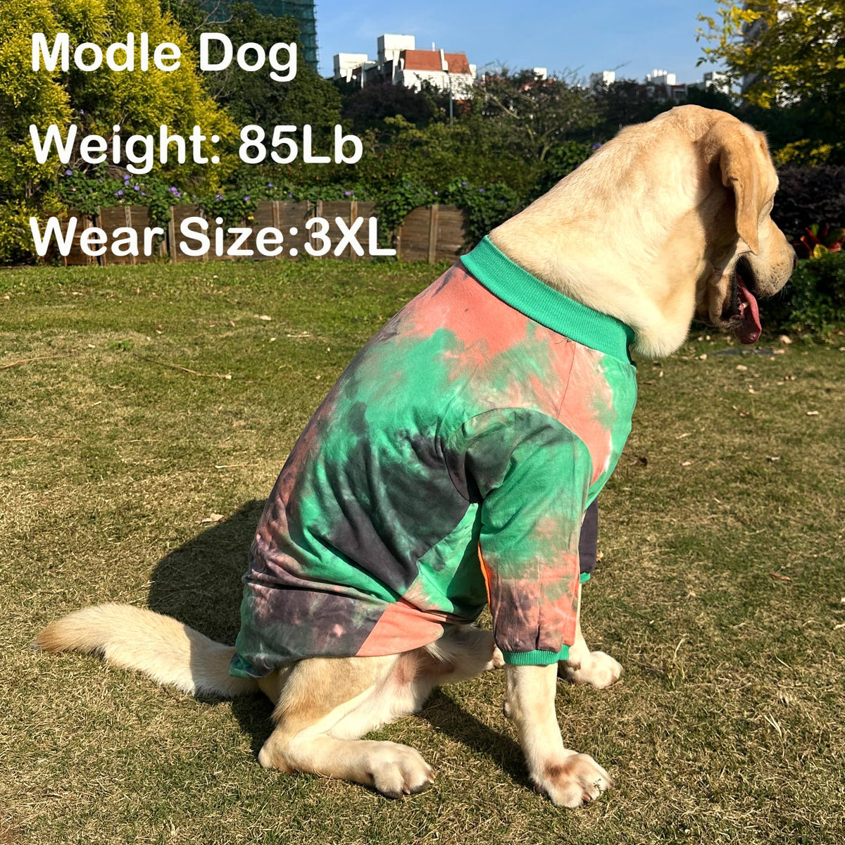 PriPre Pet Apparel in Large, Green Orange