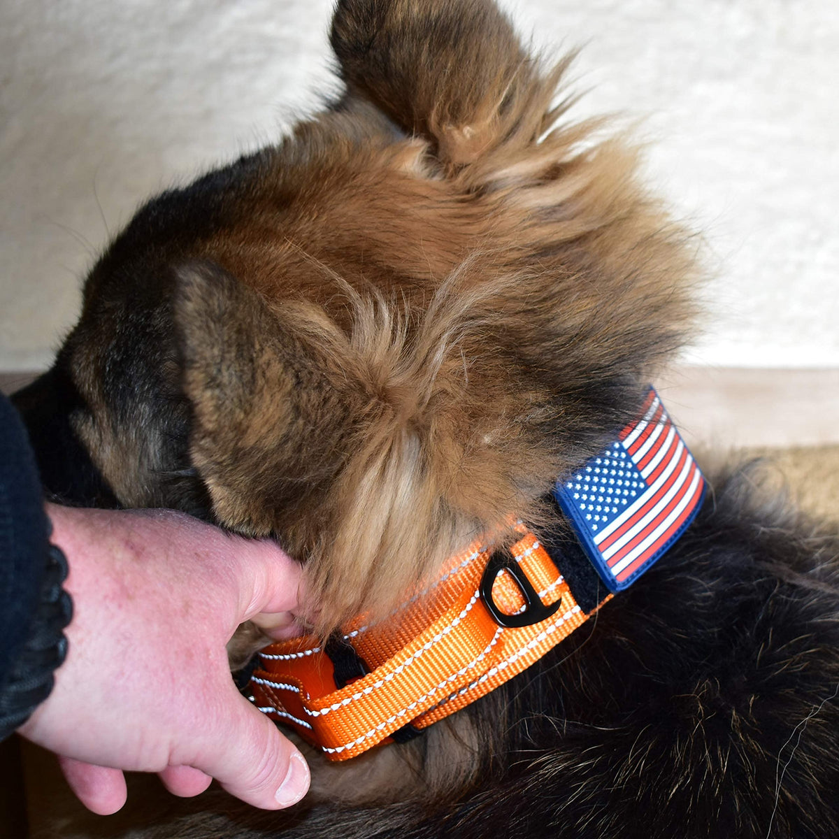 DEZIZEUSK9 Animal Collar in 16-25 INCH, ORANGE-COBVEL2