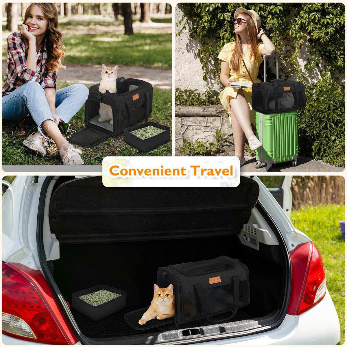 Petux Animal Carrier in 17.0"L x 11.0"W x 9.5"H, Light Black