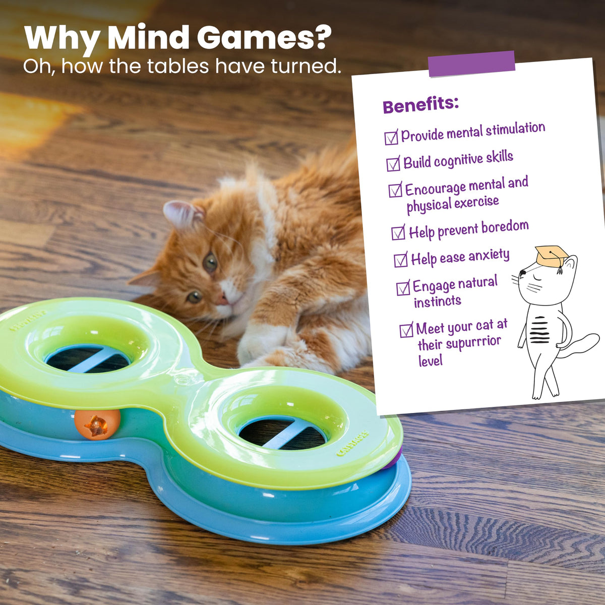 Catstages Pet Toy in One-Size, Infinity Track