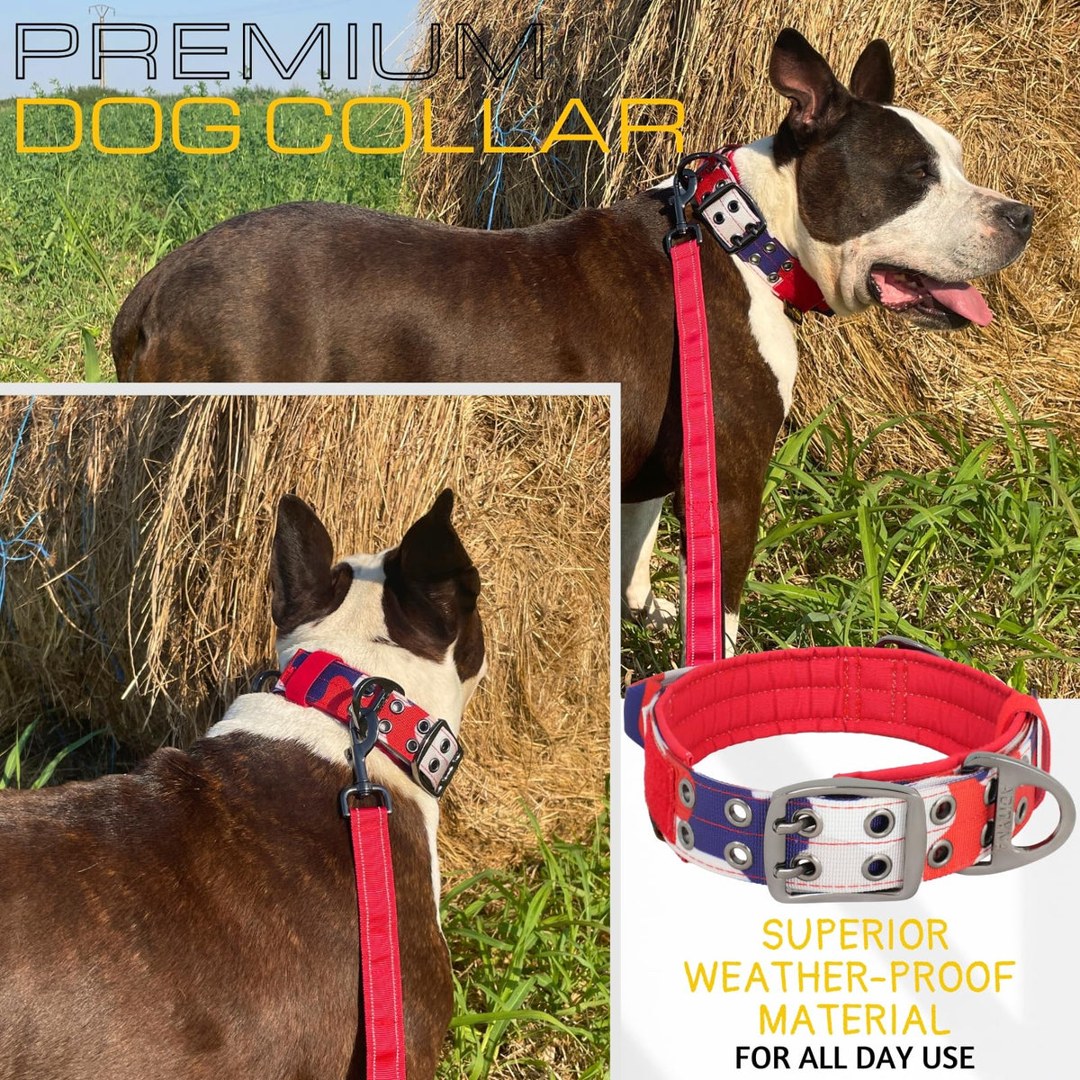 ADITYNA Animal Collar in Extra-Large: Fit 24-30" Neck, Camo Red Blue