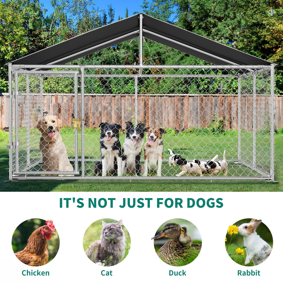 DWVO Animal Cage in 10' x 10', Silver