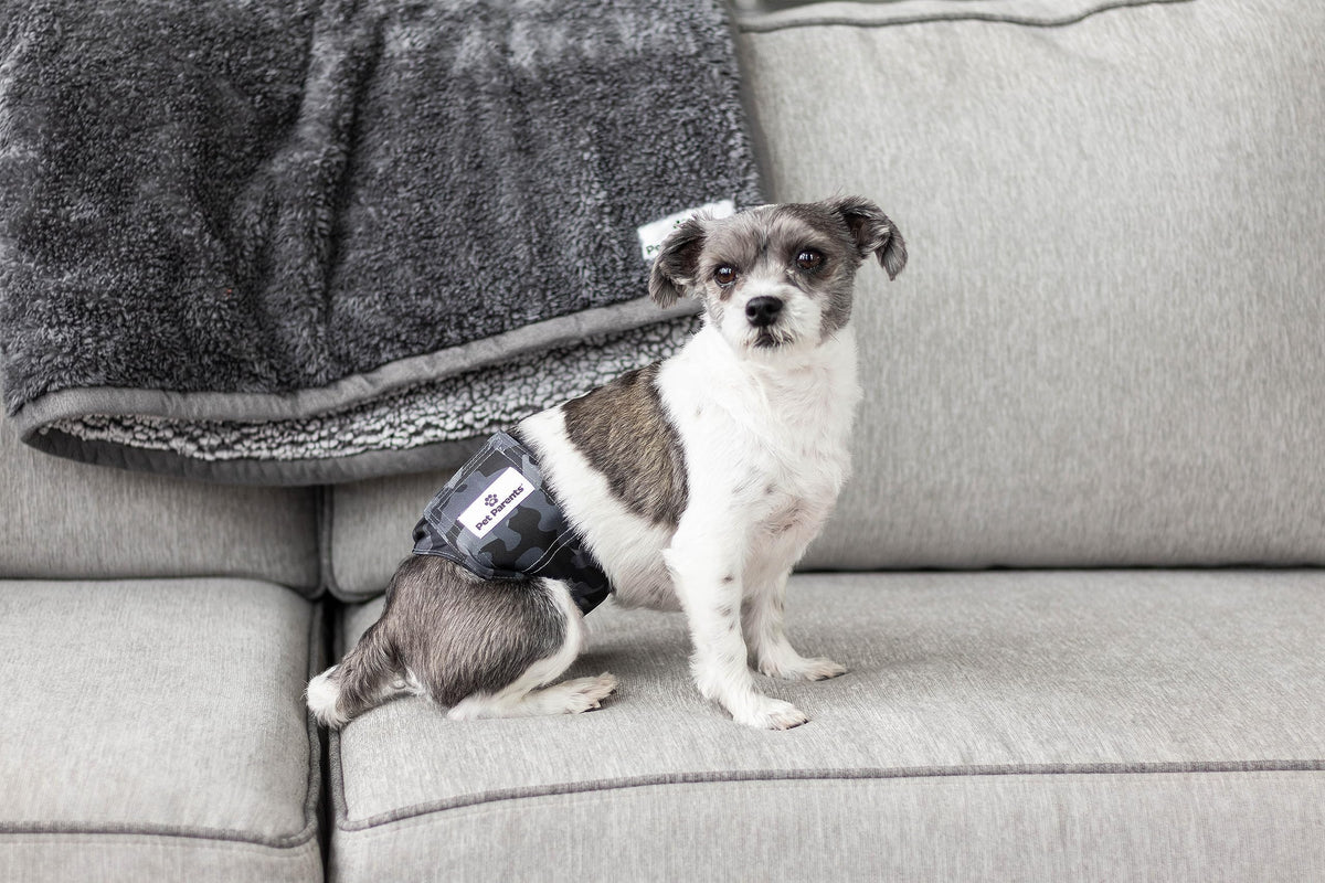 Pet Parents Animal Incontinence Protector in X-Small (11-13"), Camo