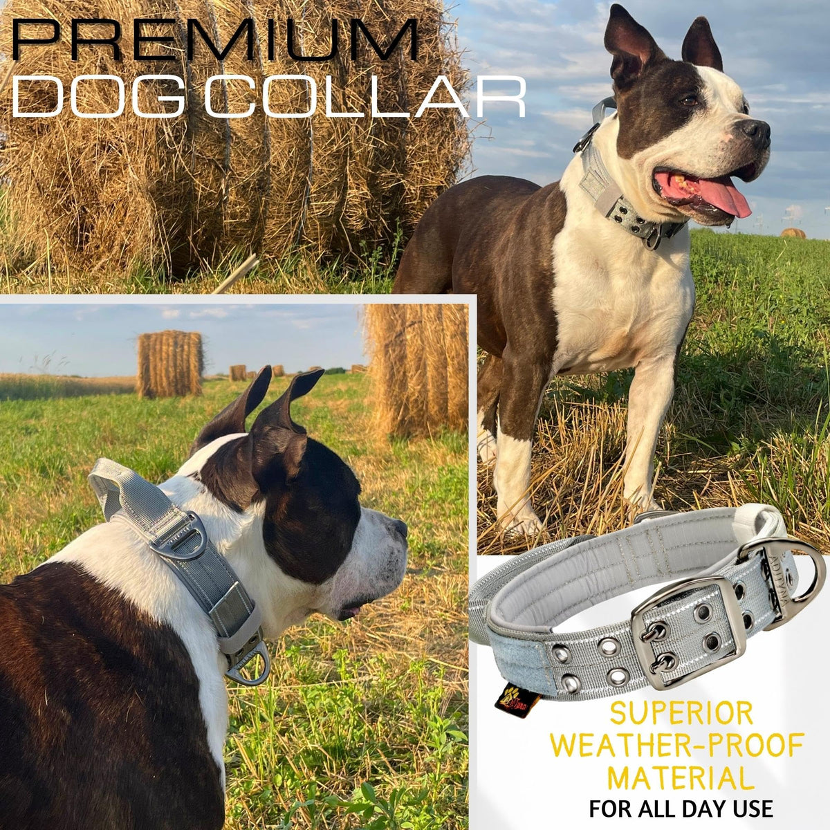 ADITYNA Animal Collar in Extra-Large: Fit 24-30" Neck, Gray